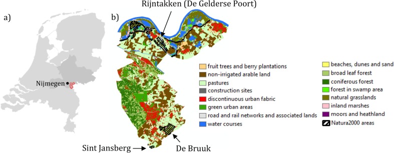 actieve betrokkenheid