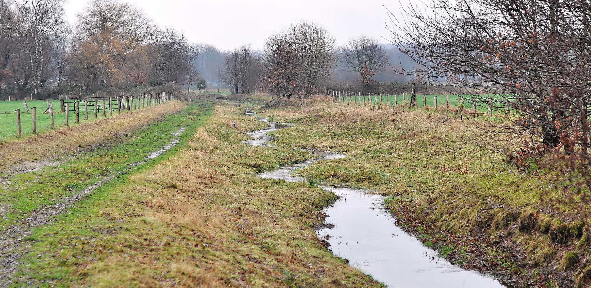 Henk Eikholt Landschap Dxo