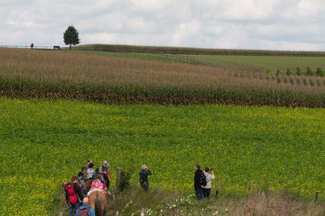 Projecten Natuurinclusief