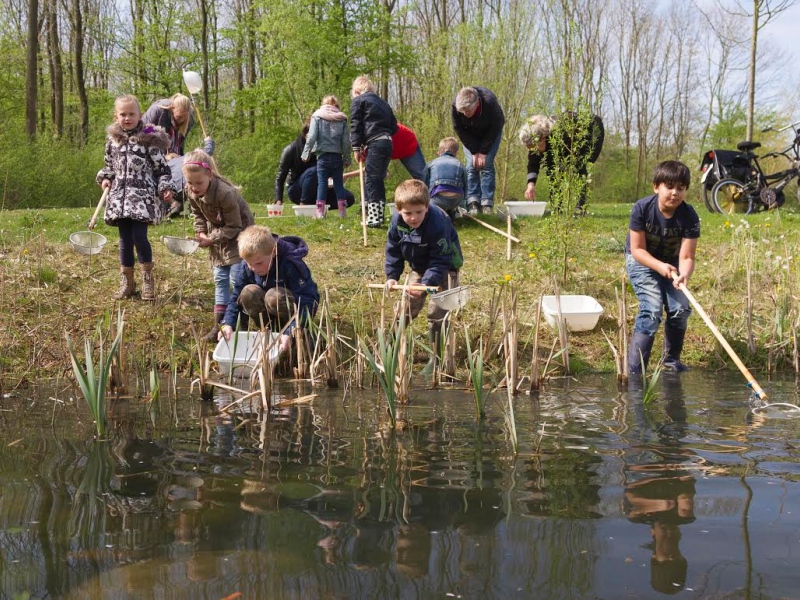 Projecten Natuuronderwijs